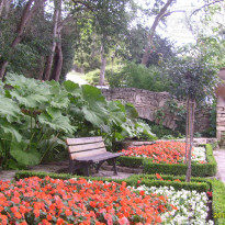 фото из отзыва ID 1064776