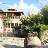 фото из отзыва ID 1067739