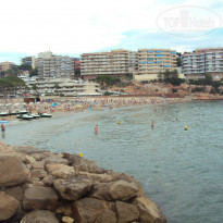 фото из отзыва ID 1067760