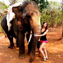 фото из отзыва ID 1067918