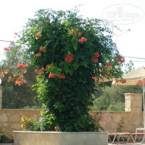 фото из отзыва ID 1065333