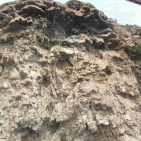 фото из отзыва ID 1067300