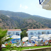 фото из отзыва ID 1068387