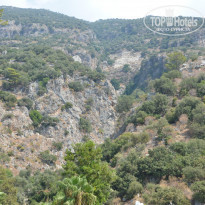 фото из отзыва ID 1068387