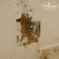 фото из отзыва ID 1066201