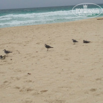 фото из отзыва ID 1068566