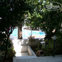 фото из отзыва ID 1067730