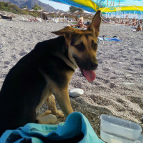 фото из отзыва ID 1066304