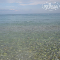 фото из отзыва ID 1068815