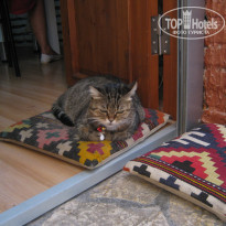 фото из отзыва ID 1068815