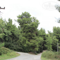 фото из отзыва ID 1069205