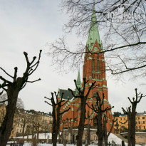 фото из отзыва ID 1069306