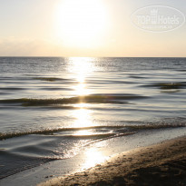 фото из отзыва ID 1069372