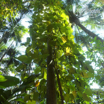 фото из отзыва ID 1069376