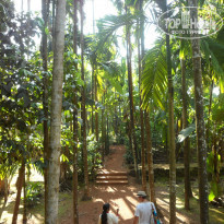 фото из отзыва ID 1069376