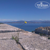 фото из отзыва ID 1069604