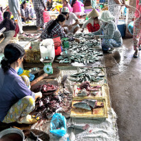 фото из отзыва ID 1069633