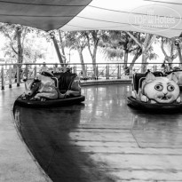 фото из отзыва ID 1069633