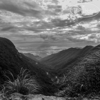 фото из отзыва ID 1069633