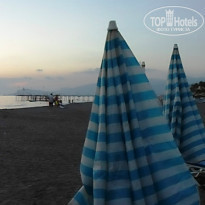 фото из отзыва ID 1069767