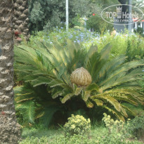 фото из отзыва ID 1069695