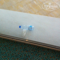 фото из отзыва ID 1069919