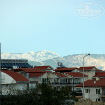 фото из отзыва ID 1067613