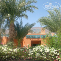 фото из отзыва ID 1064661