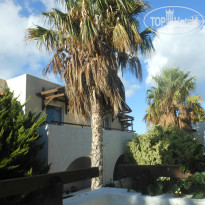 фото из отзыва ID 1064157