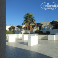 фото из отзыва ID 1064157