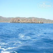 фото из отзыва ID 1066165