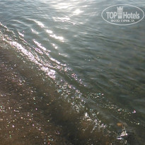 фото из отзыва ID 1066071