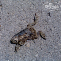 фото из отзыва ID 107943