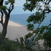 фото из отзыва ID 1070007