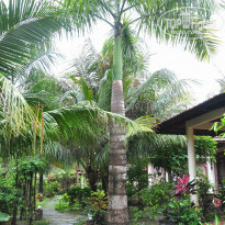 фото из отзыва ID 1070281