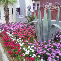 фото из отзыва ID 1070386