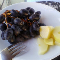 фото из отзыва ID 1070386