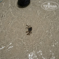 фото из отзыва ID 1070863