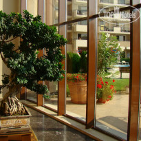 фото из отзыва ID 1070868