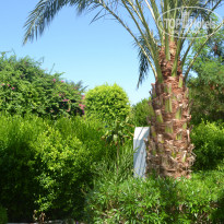 фото из отзыва ID 1071356