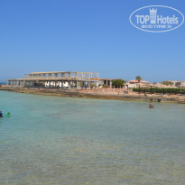 фото из отзыва ID 1071356