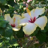 фото из отзыва ID 1071476