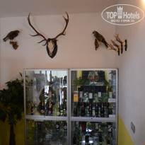 фото из отзыва ID 1071554