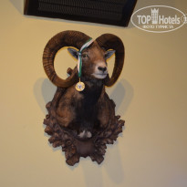 фото из отзыва ID 1071554