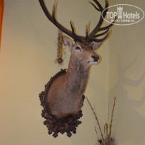 фото из отзыва ID 1071554