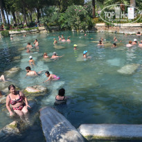 фото из отзыва ID 1071848