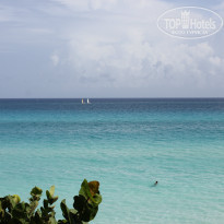 фото из отзыва ID 1071997