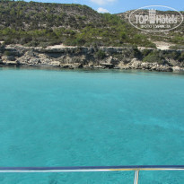 фото из отзыва ID 1072086