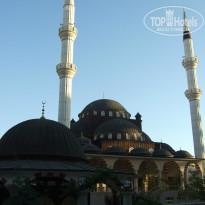 фото из отзыва ID 1071926