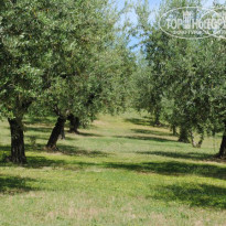 фото из отзыва ID 1072328